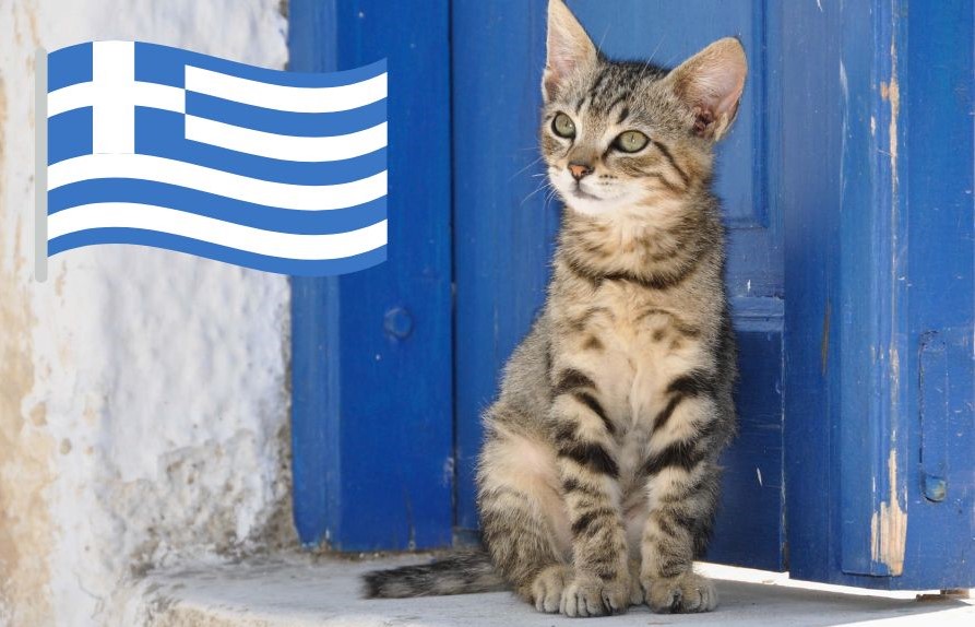 GREECE Campaign